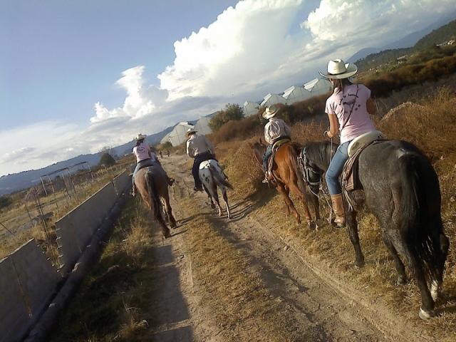 Paseo ligero